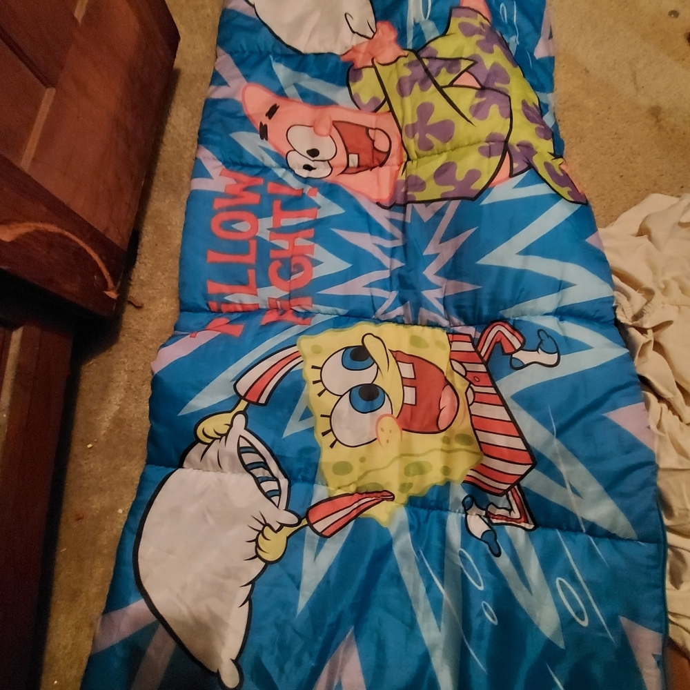 Sleeping bag
